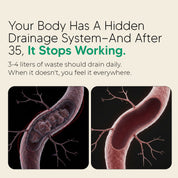 New Maximum Potency Formula - Lymphatic Drainage Capsules by Sculptique™