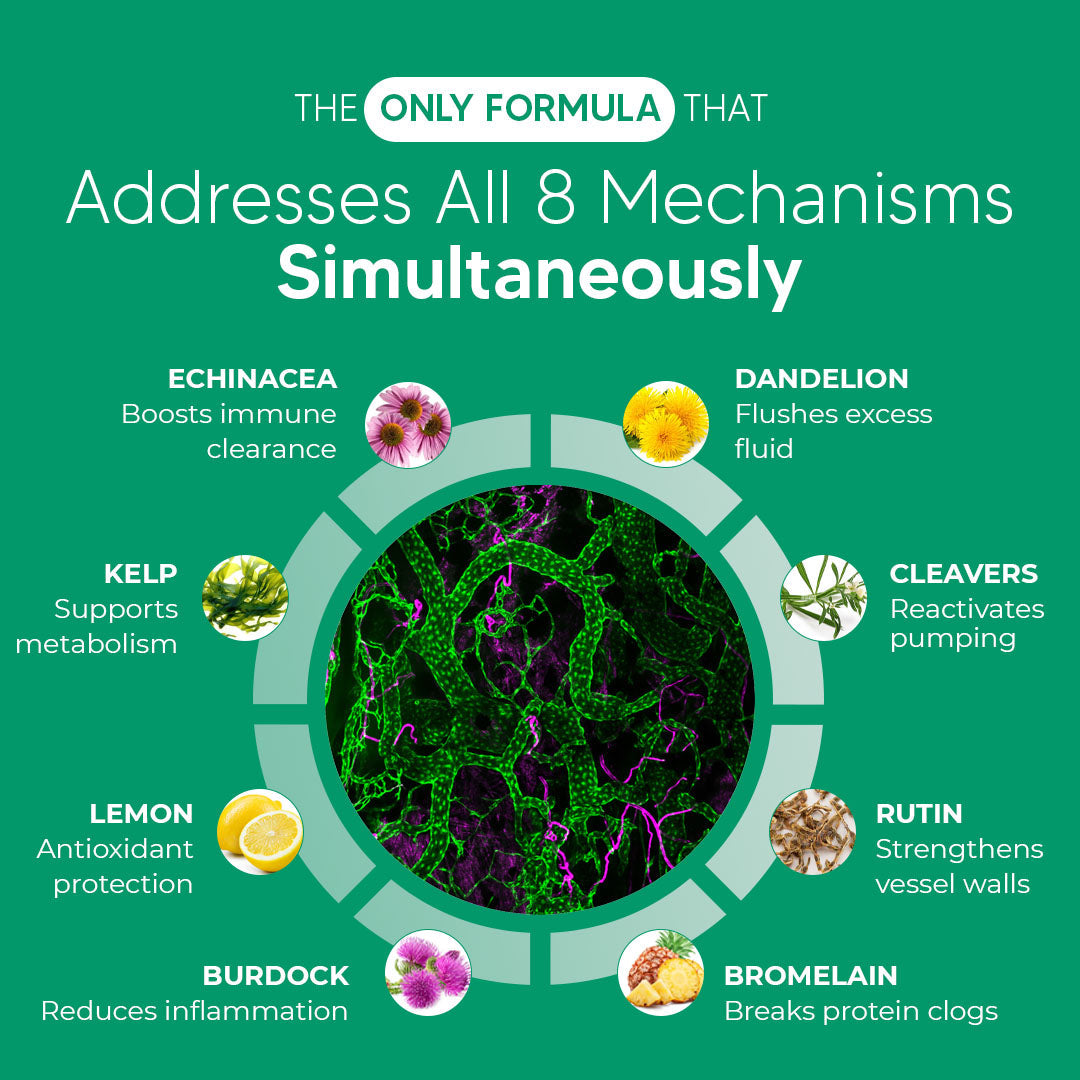 New Maximum Potency Formula - Lymphatic Drainage Capsules by Sculptique™