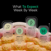 New Maximum Potency Formula - Lymphatic Drainage Capsules by Sculptique™